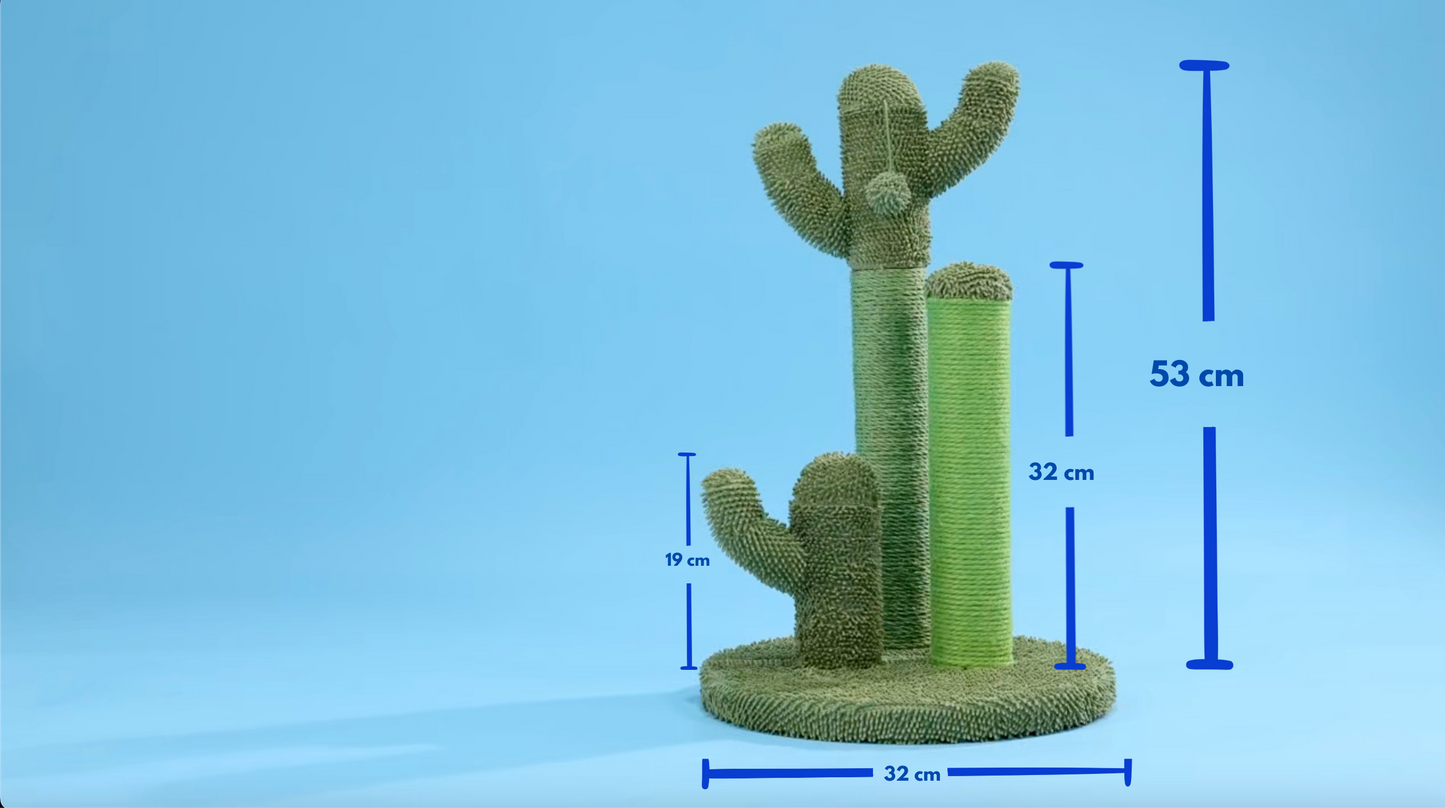 The Cactus Scratcher