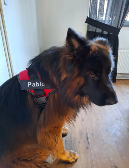 Dokterpuppy™ Personalizable Dog Harness