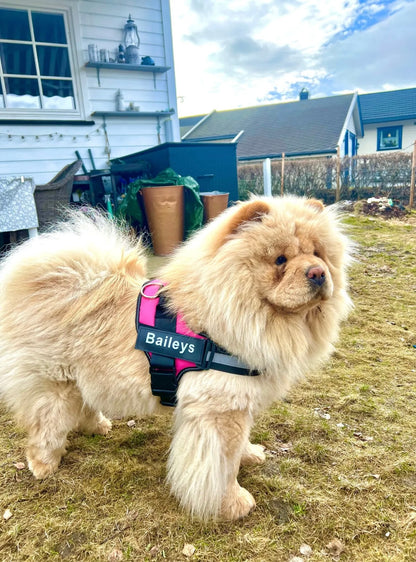 Dokterpuppy™ Personalizable Dog Harness