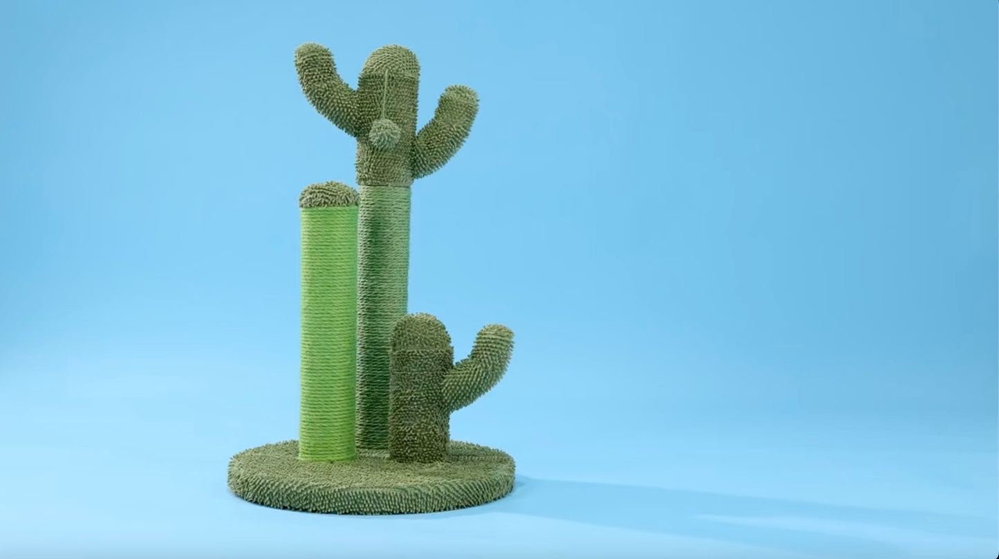 The Cactus Scratcher