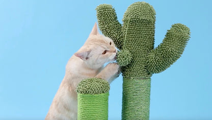 The Cactus Scratcher