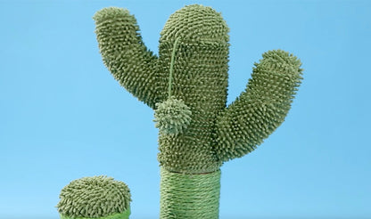 The Cactus Scratcher