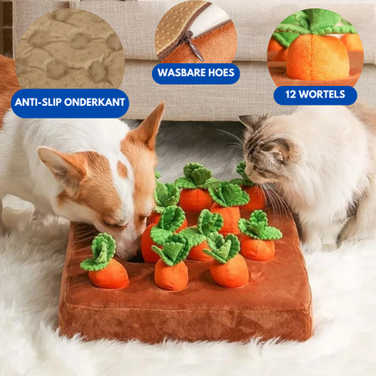 Carrot Snuffle Mat  - Dog & Cat Toy