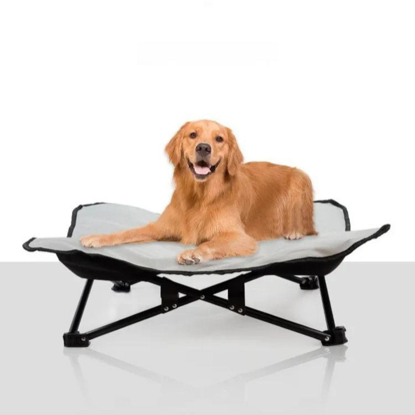 Elevated Outdoor Dogbed